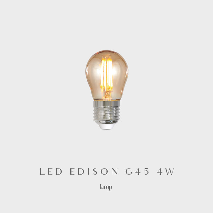 LED 에디슨 램프 G45 4W