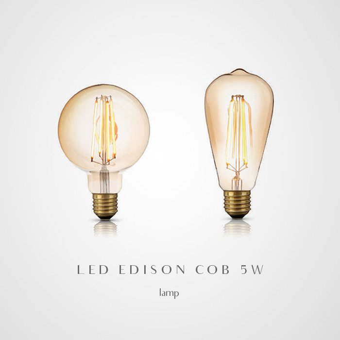 LED 에디슨 램프 5W G95/ST64