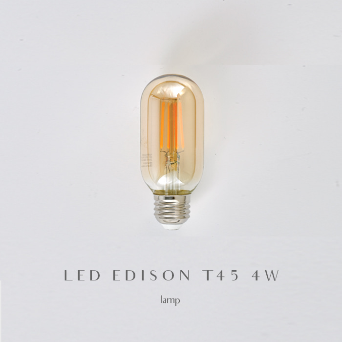 LED 에디슨 램프 T45 4W